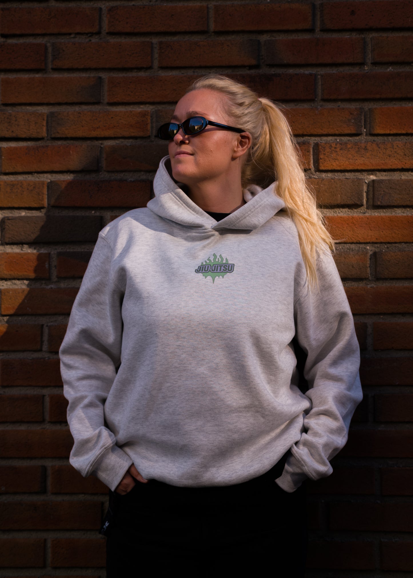 Hoodie Grey – Jiu Jitsu flames